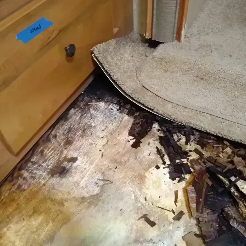 Wood Floor Water Damage in East Syracuse, NY